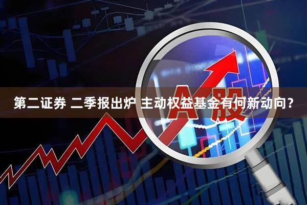 第二证券 二季报出炉 主动权益基金有何新动向？