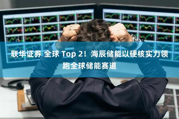 联华证券 全球 Top 2！海辰储能以硬核实力领跑全球储能赛道