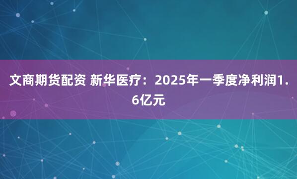 文商期货配资 新华医疗：2025年一季度净利润1.6亿元